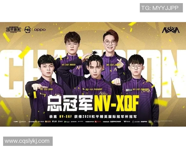 和平精英技术解析聚焦IG战队的战术创新与团队协作能力