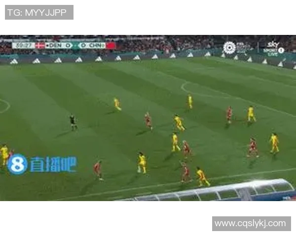 深入分析V5战队的防守策略与战术执行细节