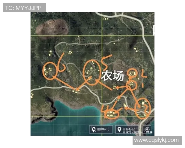 esports最新数据和平精英焦点BLG战术分析与实战策略探讨全景解析